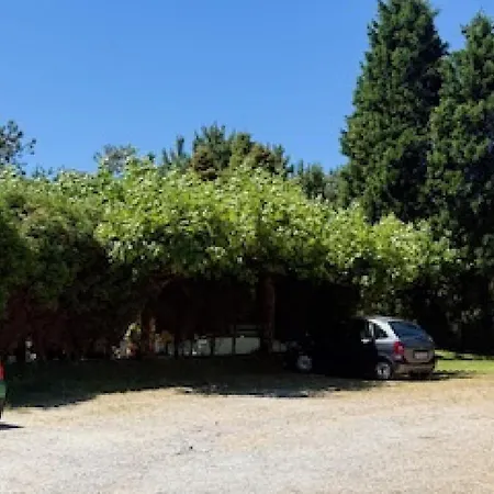 Restaurante Pinarejo