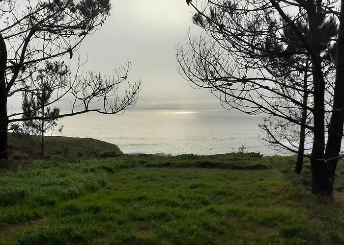 Restaurante Pinarejo بيت ضيافة *